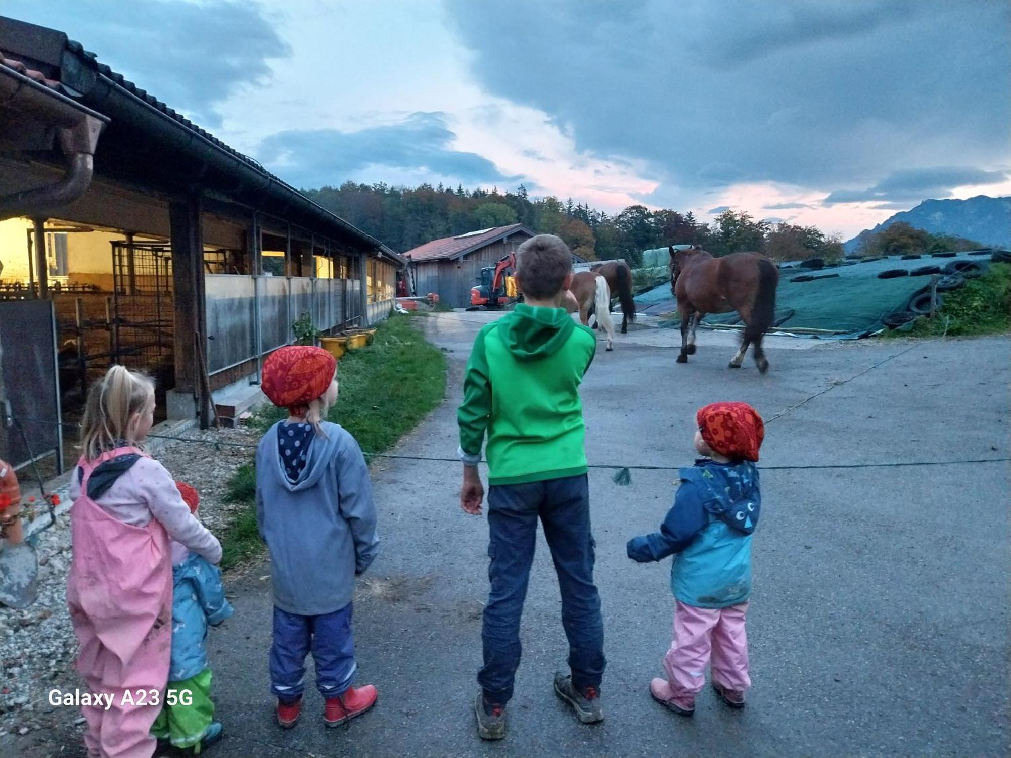 Fuchsbauernhof Фермерский дом *